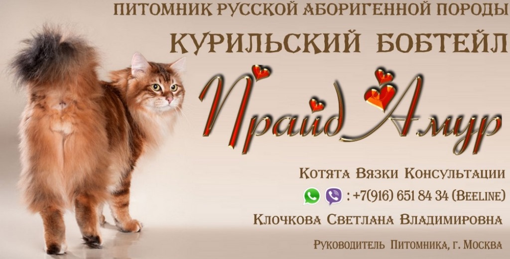 Lico — копия