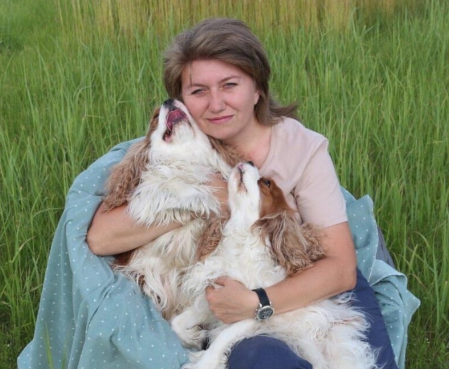 pitomnik-lemroy-kavaler-king-charlz-spaniel-prodazha-shenka