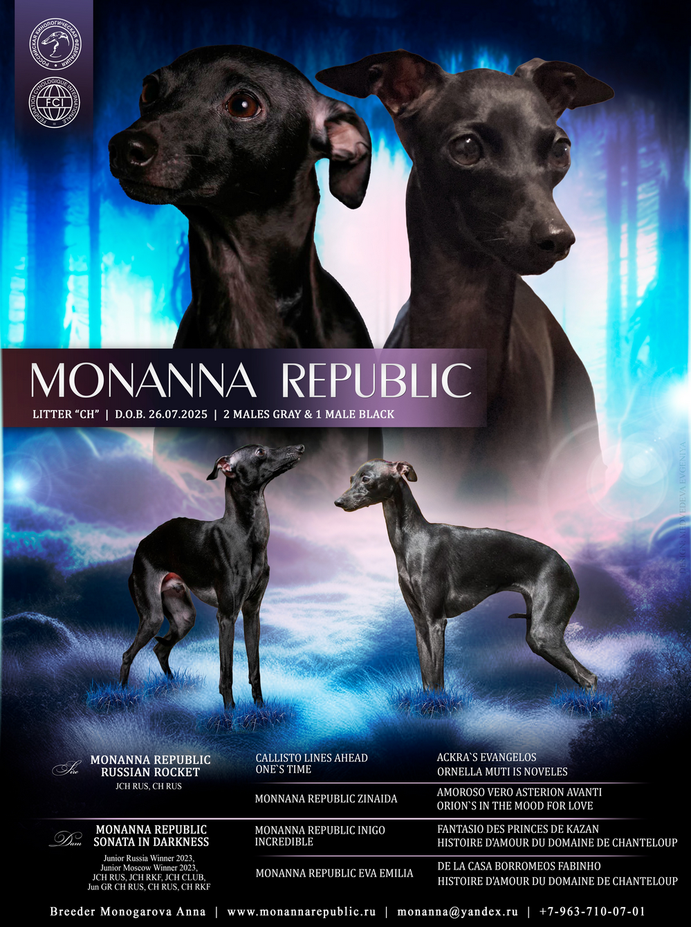 MonannaRepublic-pitomnik-levretok-obyavlenie-o-prodage-shhenkov