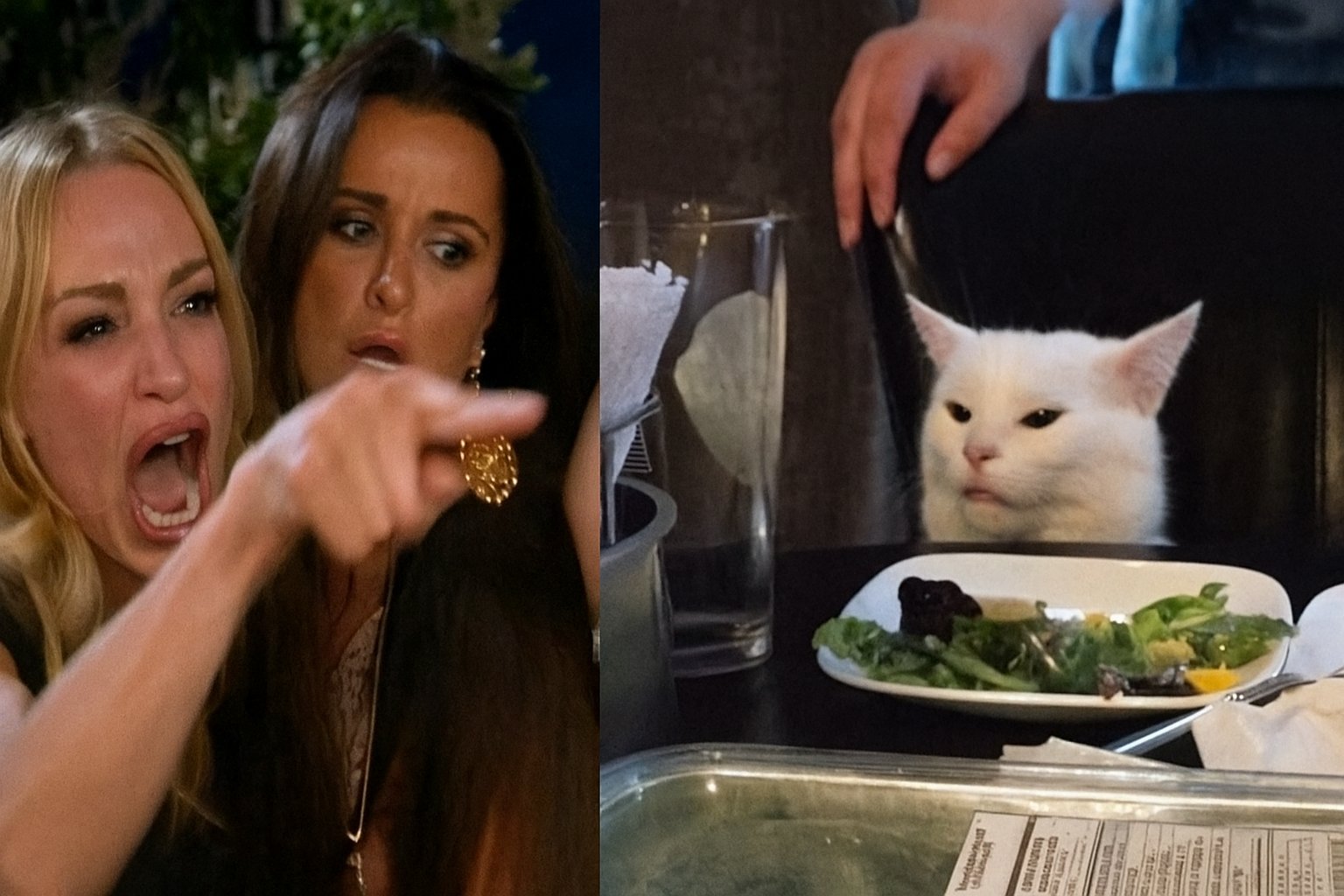 smudge-cat-memy