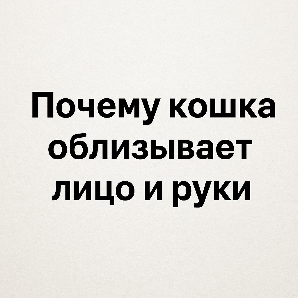 zaklyuchenie-koshka-lizhet-ruki-i-lico