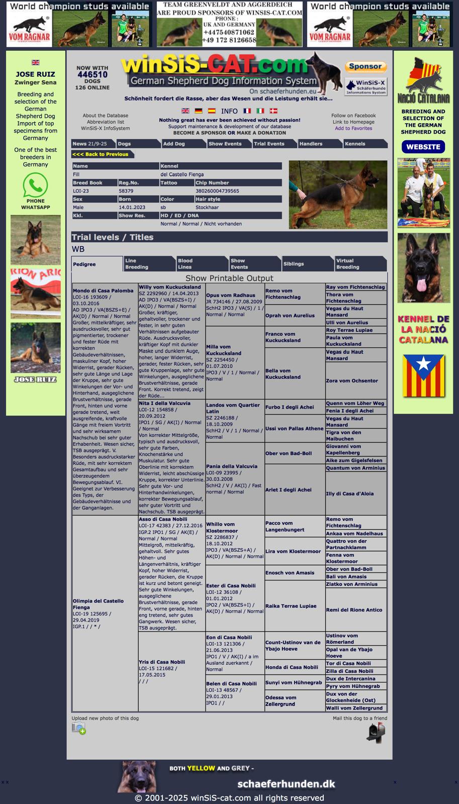 kupit-shchenka-nemeckoi-ovcharki-rodoslovnaja