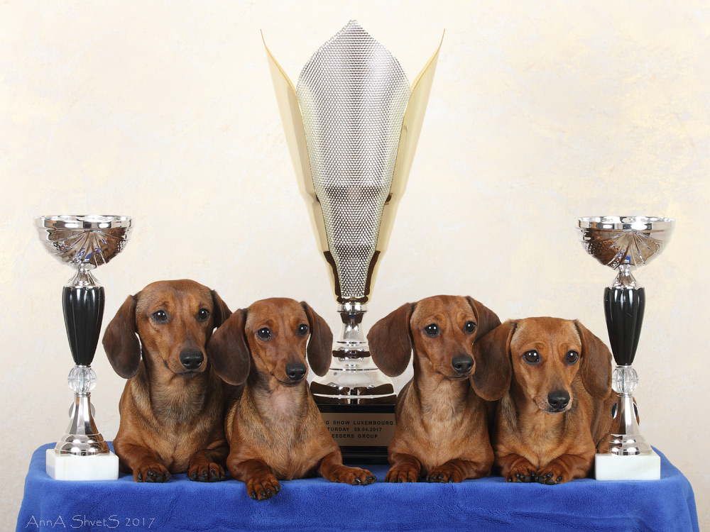 pitomnik-formula-uspeha-miniatjurnaya-taksa