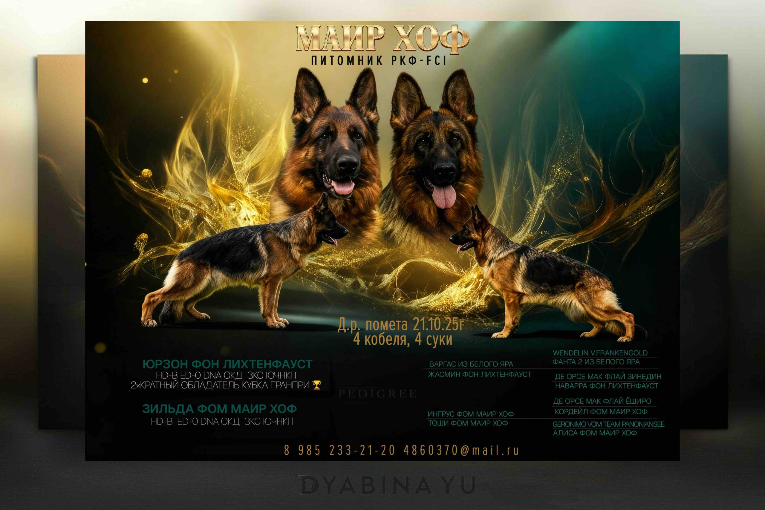 prodazha-shchenka-nemeckoi-ovcharki