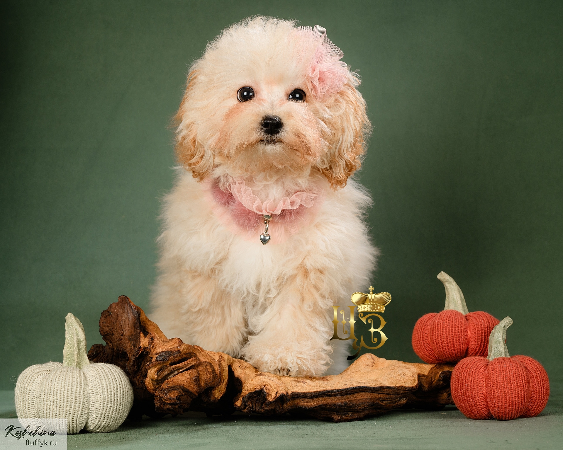 ENIU5KvzfE2rI7DEpBITRwFAIk4AO9nxVAHXvtoXStyzni8Bl5KvUGFbtWMdB8yC4mbsXuNvUdABZIKIoHbruFEK