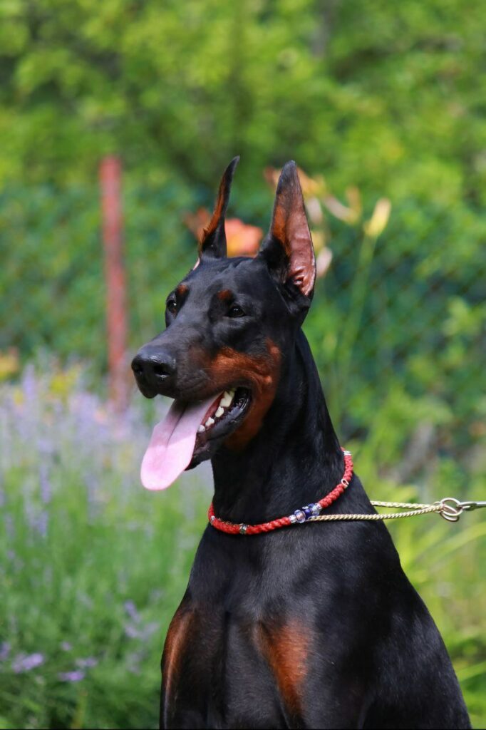 photo_2025-10-16_00-48-32 (2)