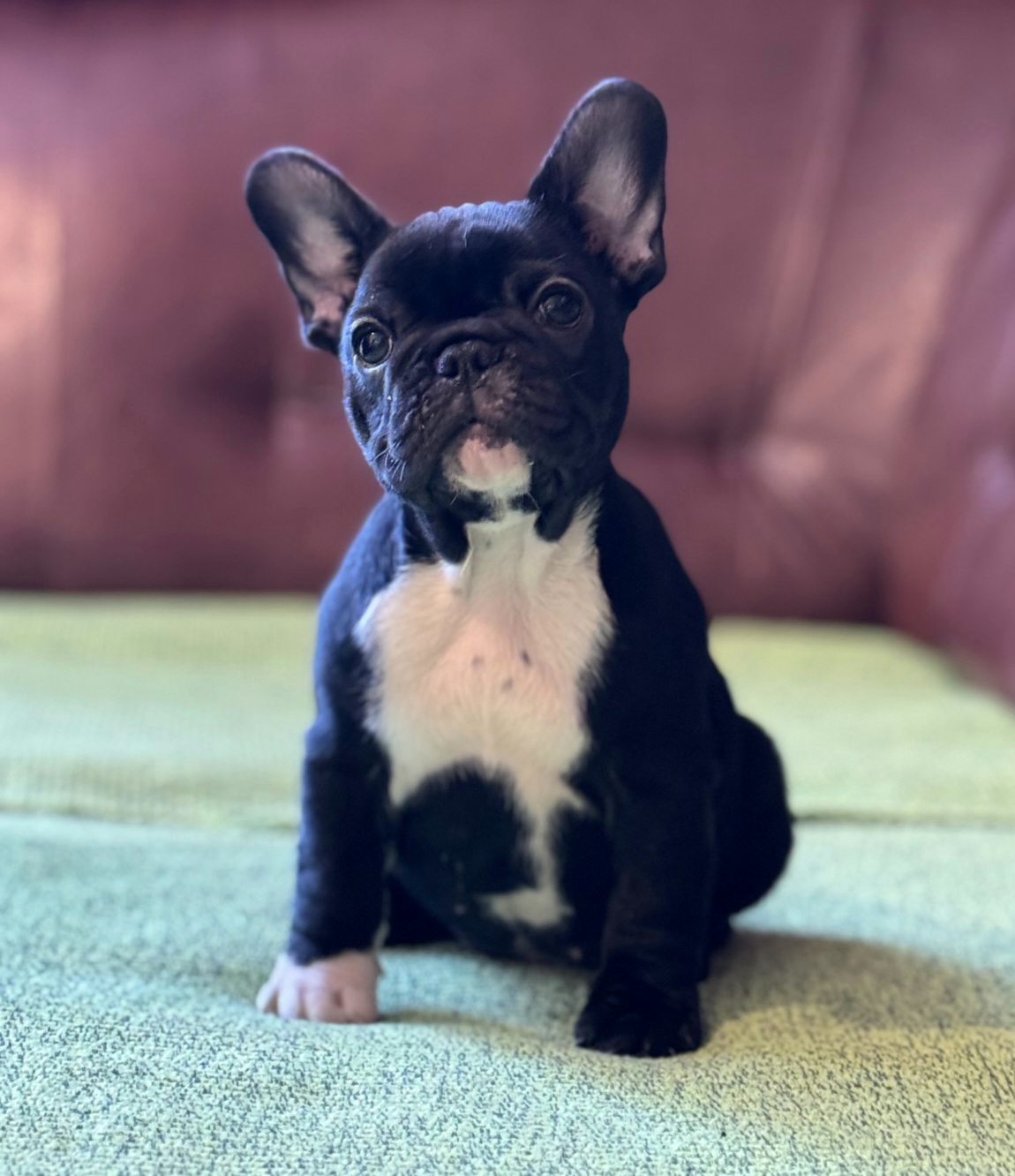 viber_image_2025-10-27_21-44-24-015