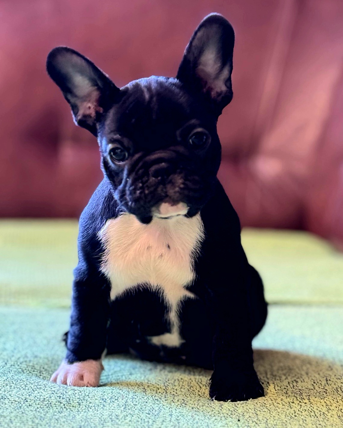 viber_image_2025-10-27_21-44-37-006