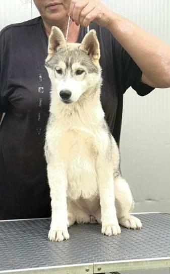 viber_image_2025-10-31_16-38-24-208