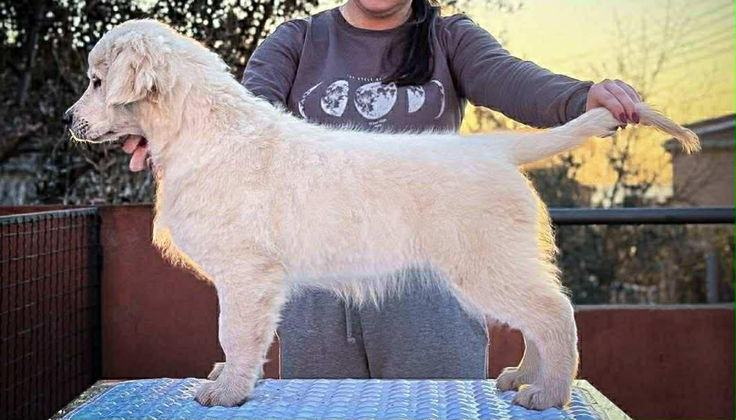 293f38db-5477-4182-bec4-c7f5213588bc