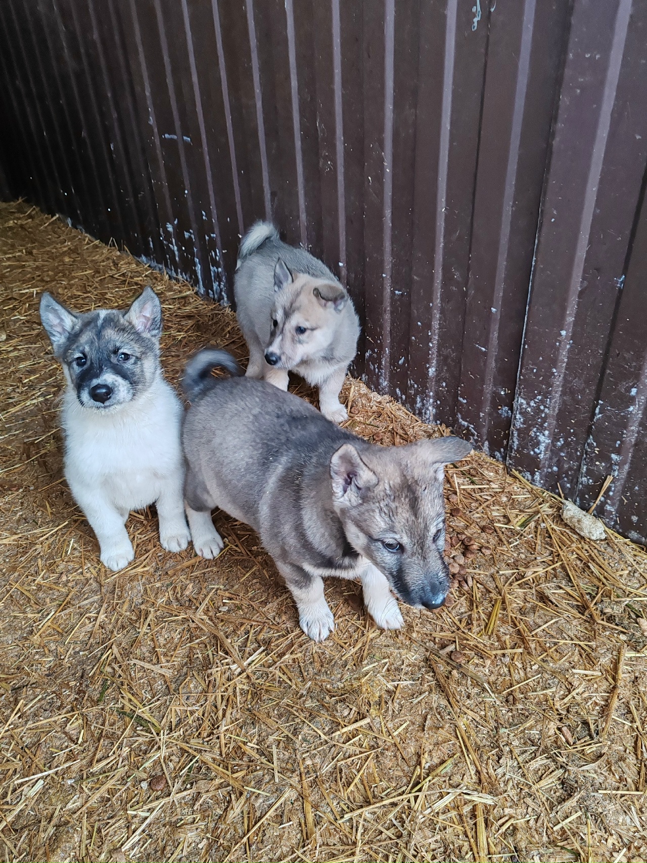 OYyWj_MdcmVc_89nnr5c4sEyshm5KNzfzJKEScGnN7y_Euwo95osEiBvgZ83RAHXgL2bHjar4yChwRY2YuIi2kOO