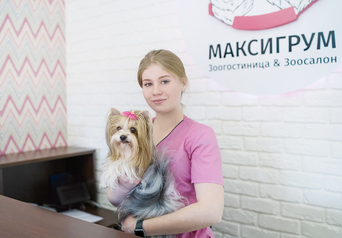 https://zoonika.com/wp-content/uploads/2025/12/maxigroom-zoogostinica-grooming-salon.jpg