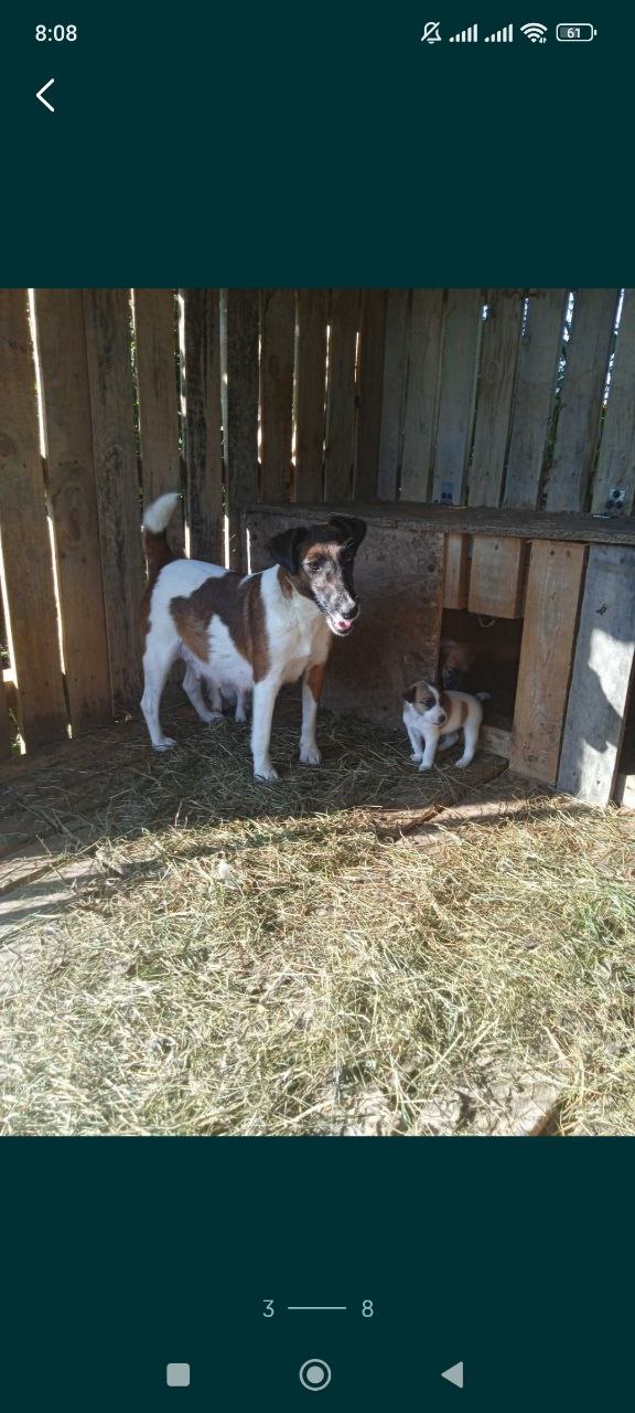 photo_2025-12-02_10-34-44