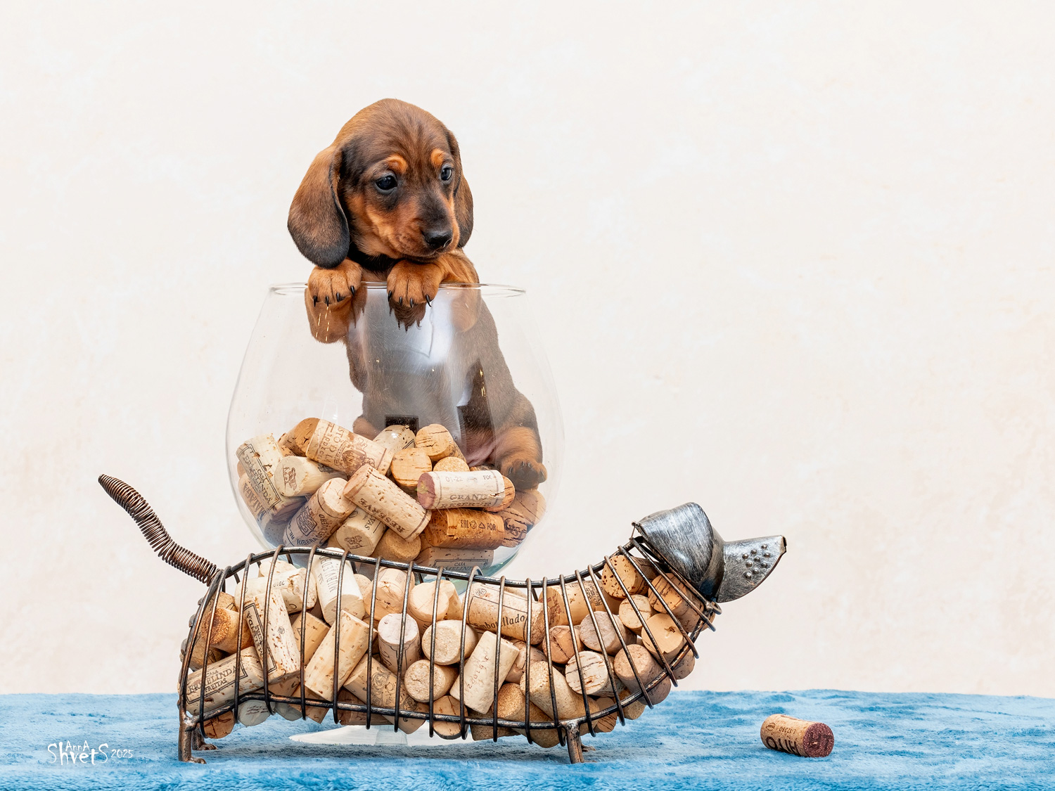 formula-uspeha-pitomnik-taks-prodaga-shhenkov