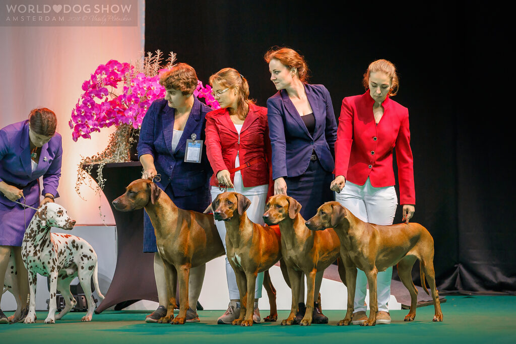 CB68262B-151A-438A-BE29-83ECB261C055