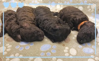 Processed with Rookie Cam