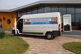 https://zoonika.com/wp-content/uploads/2026/02/zootxi-Animal-Trips-perevozka.jpeg
