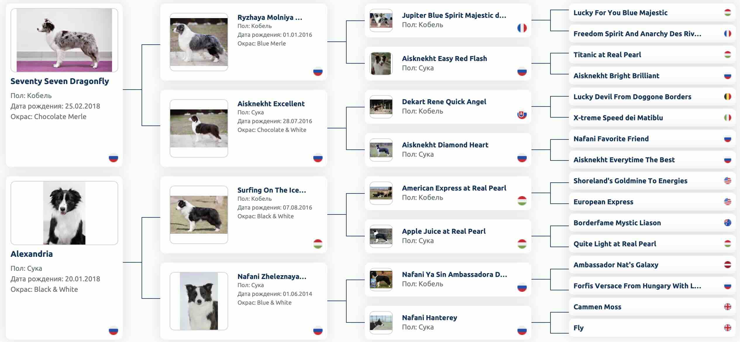 Родословная