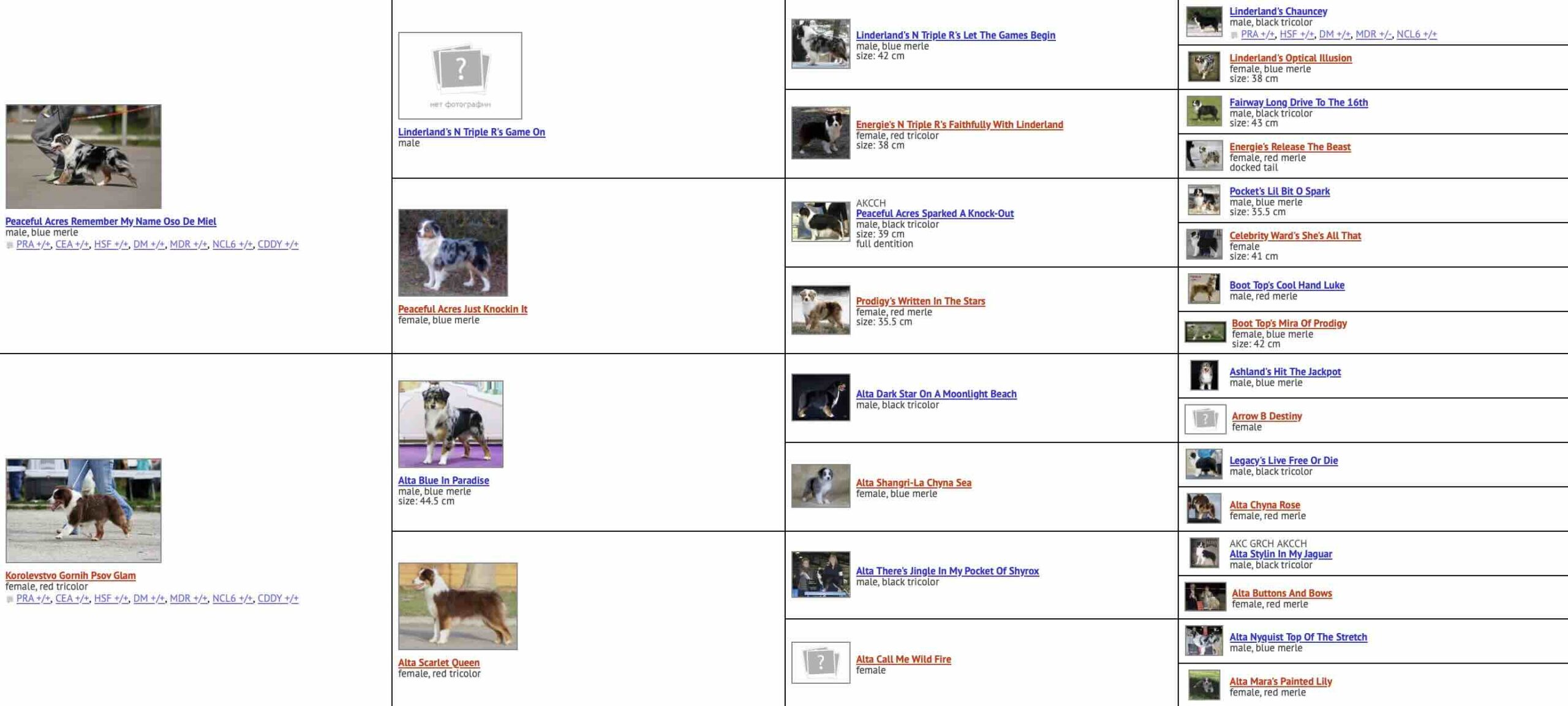 Родословная