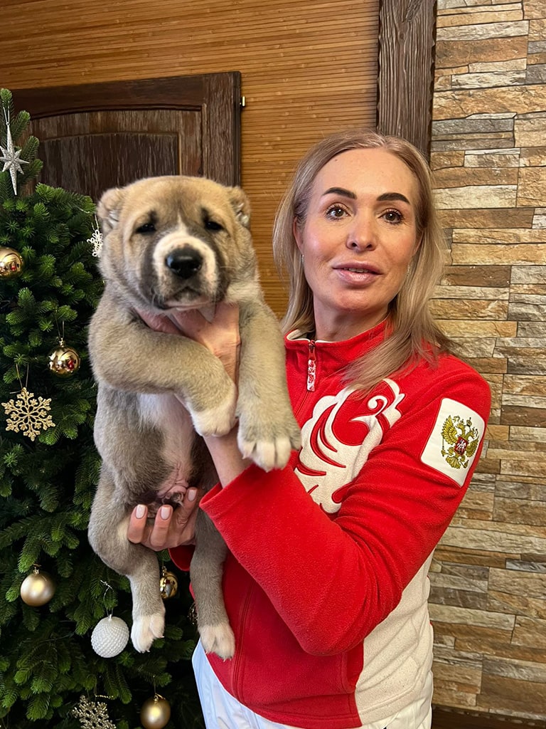 sredneaziatskaya-ovcharka-kupit-shchenka-iz-pitomnika