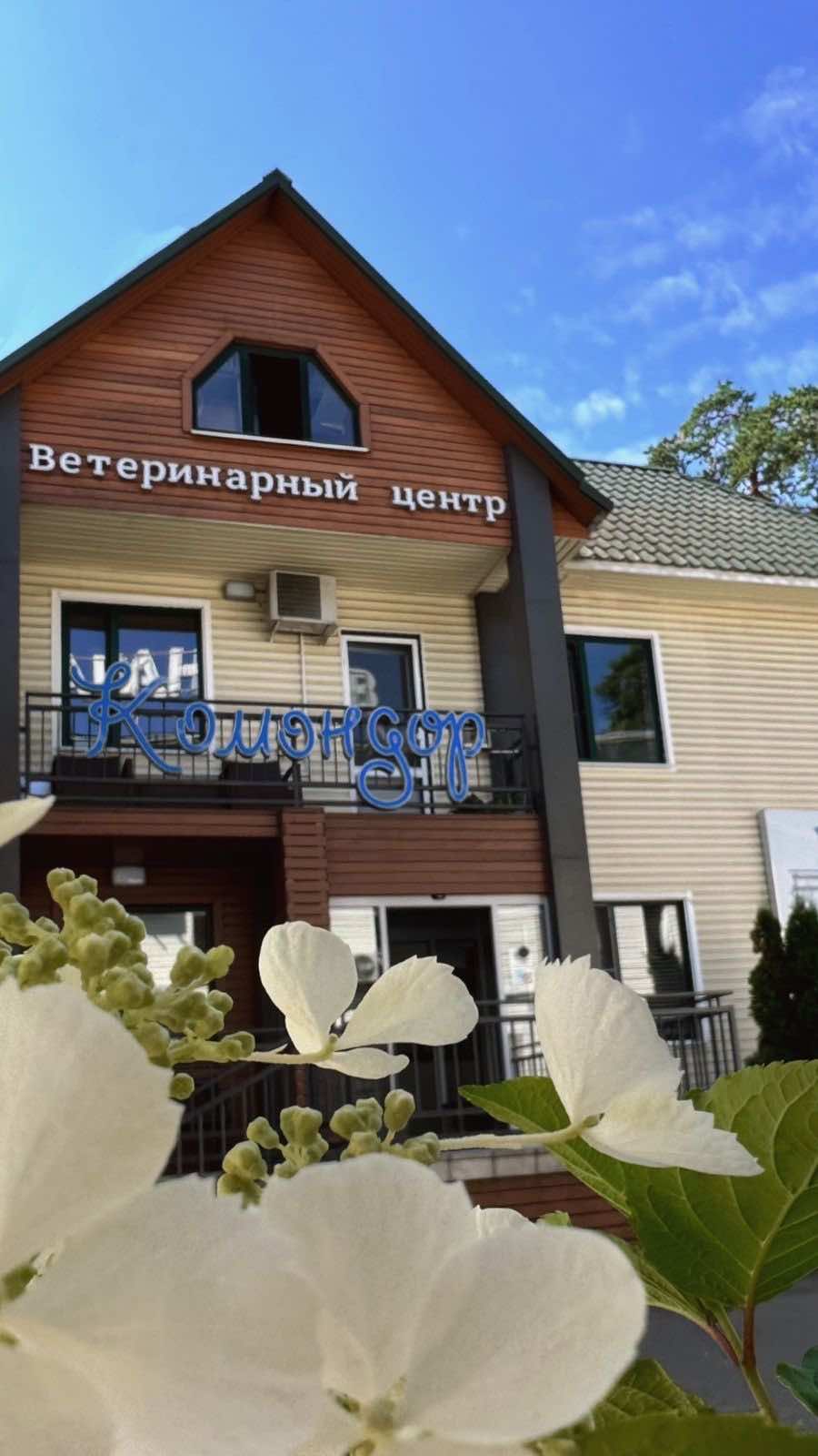 https://zoonika.com/wp-content/uploads/2026/03/vet-clinika-komandor-rjadom.jpeg