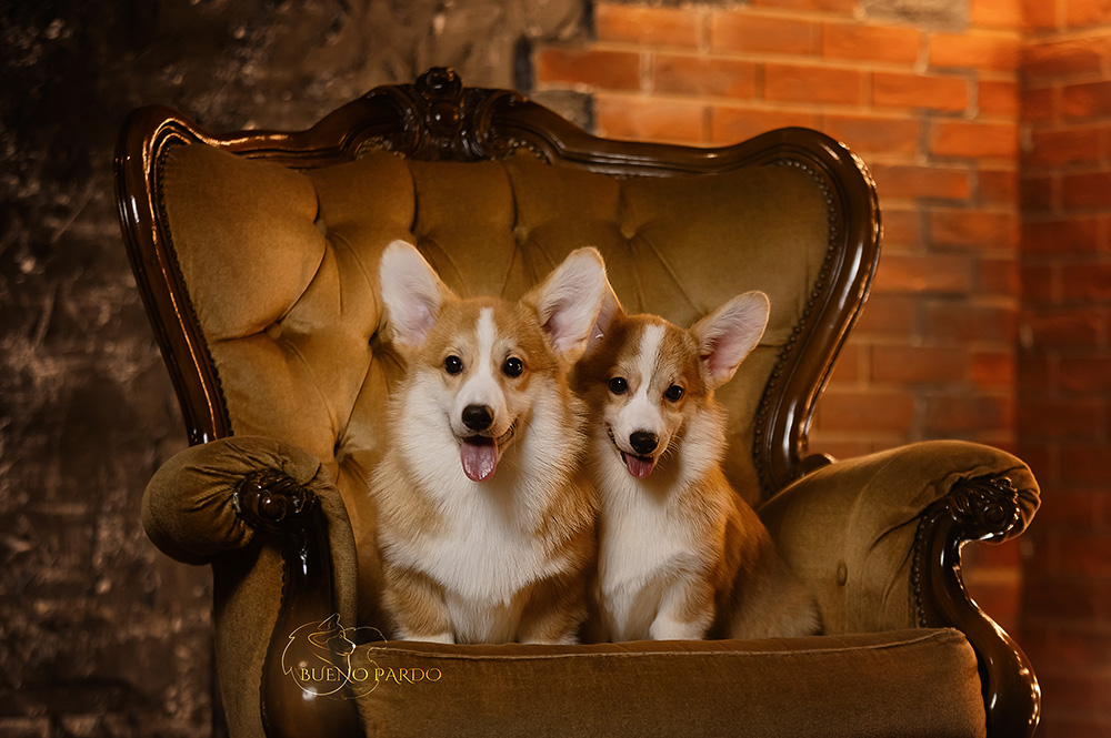 ФОТО-3591 веб 0001