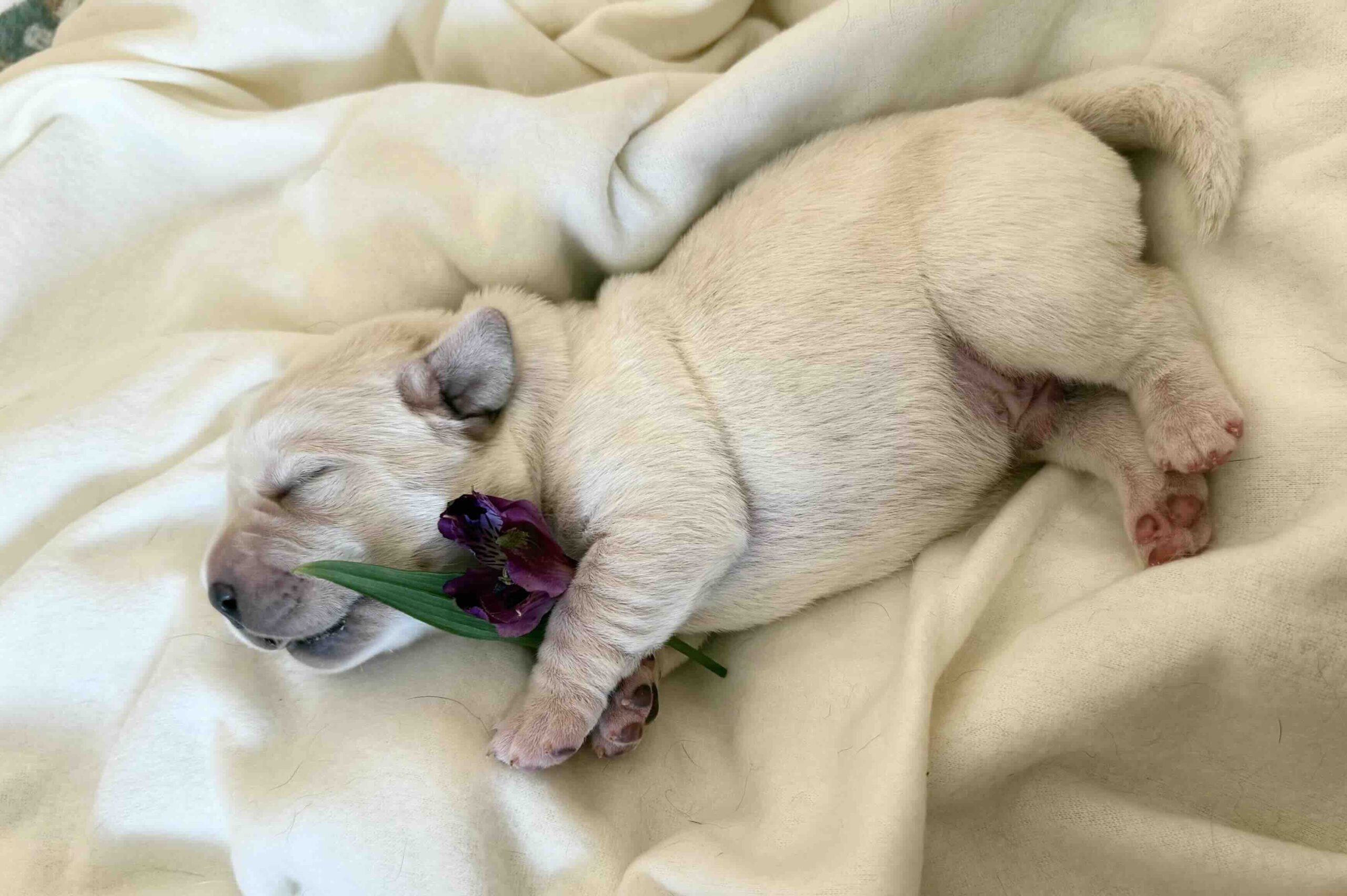 Копия image-14-03-25-06-32-7