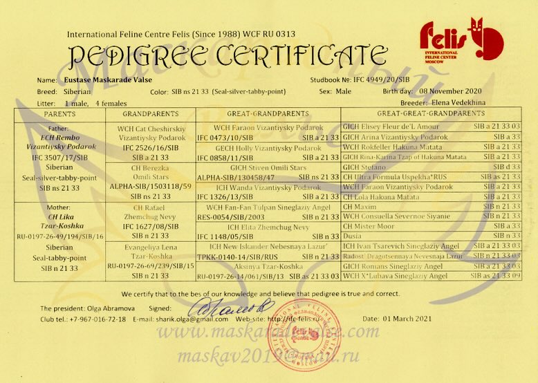 Родословная