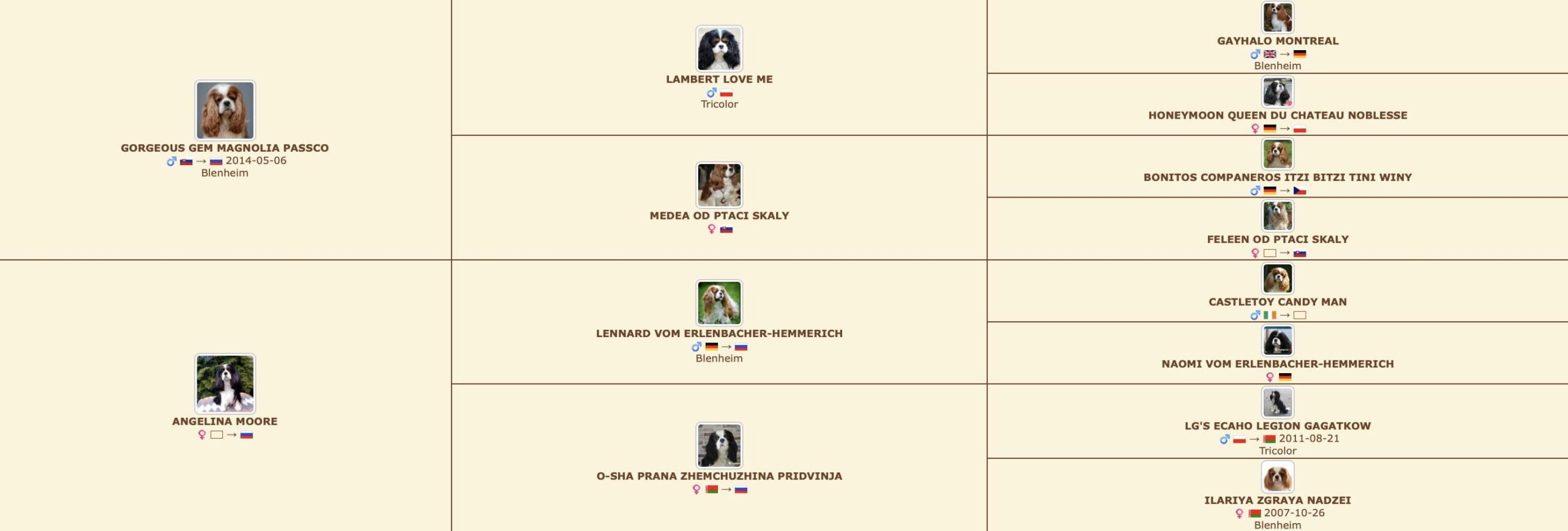 Родословная