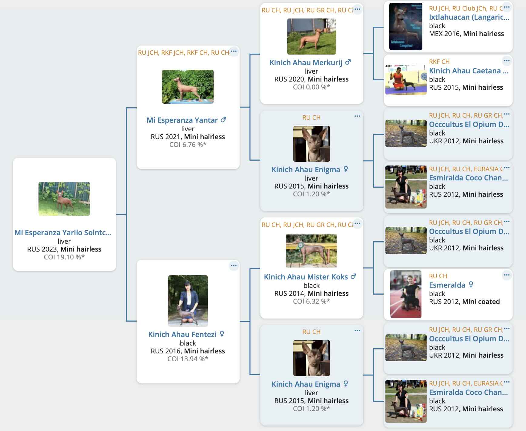 Родословная