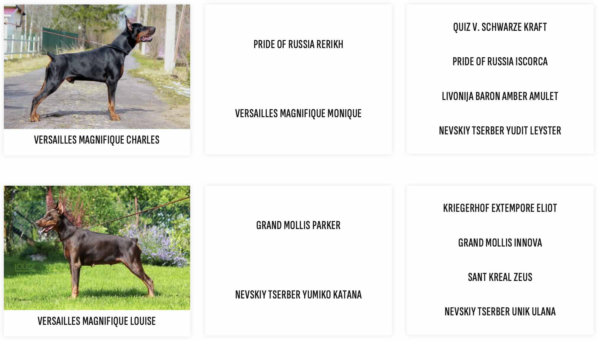 Родословная