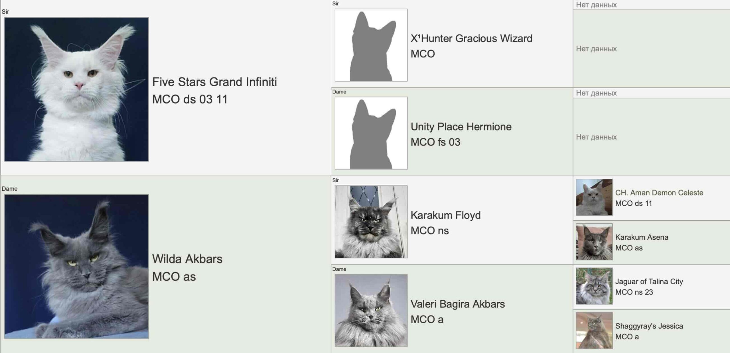 Родословная