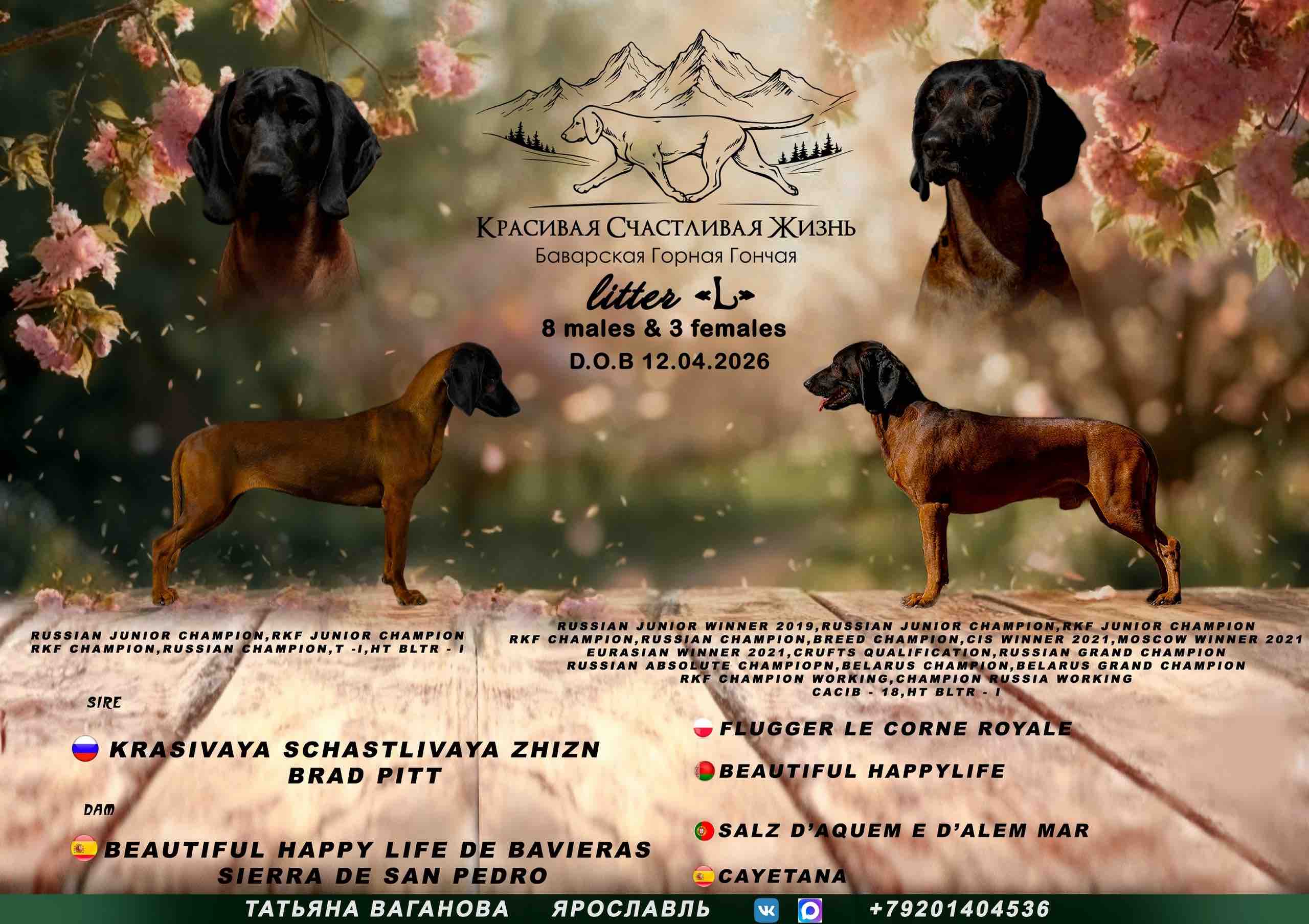 krasivaja-schastlivaja-gizn-objavlenie-o-prodage-sobaki