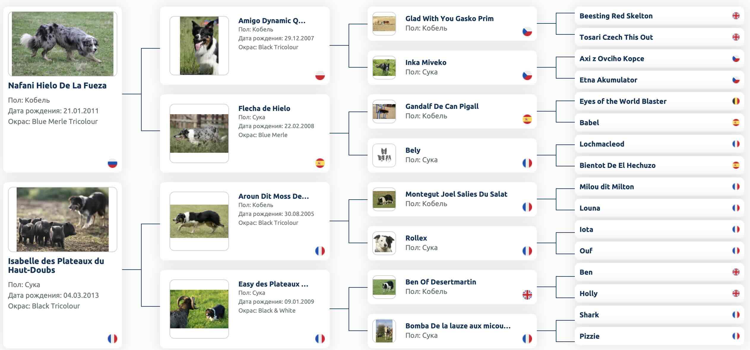 Родословная