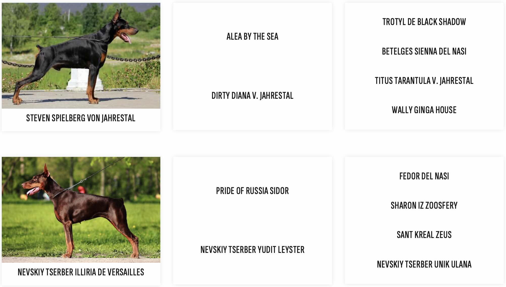 Родословная