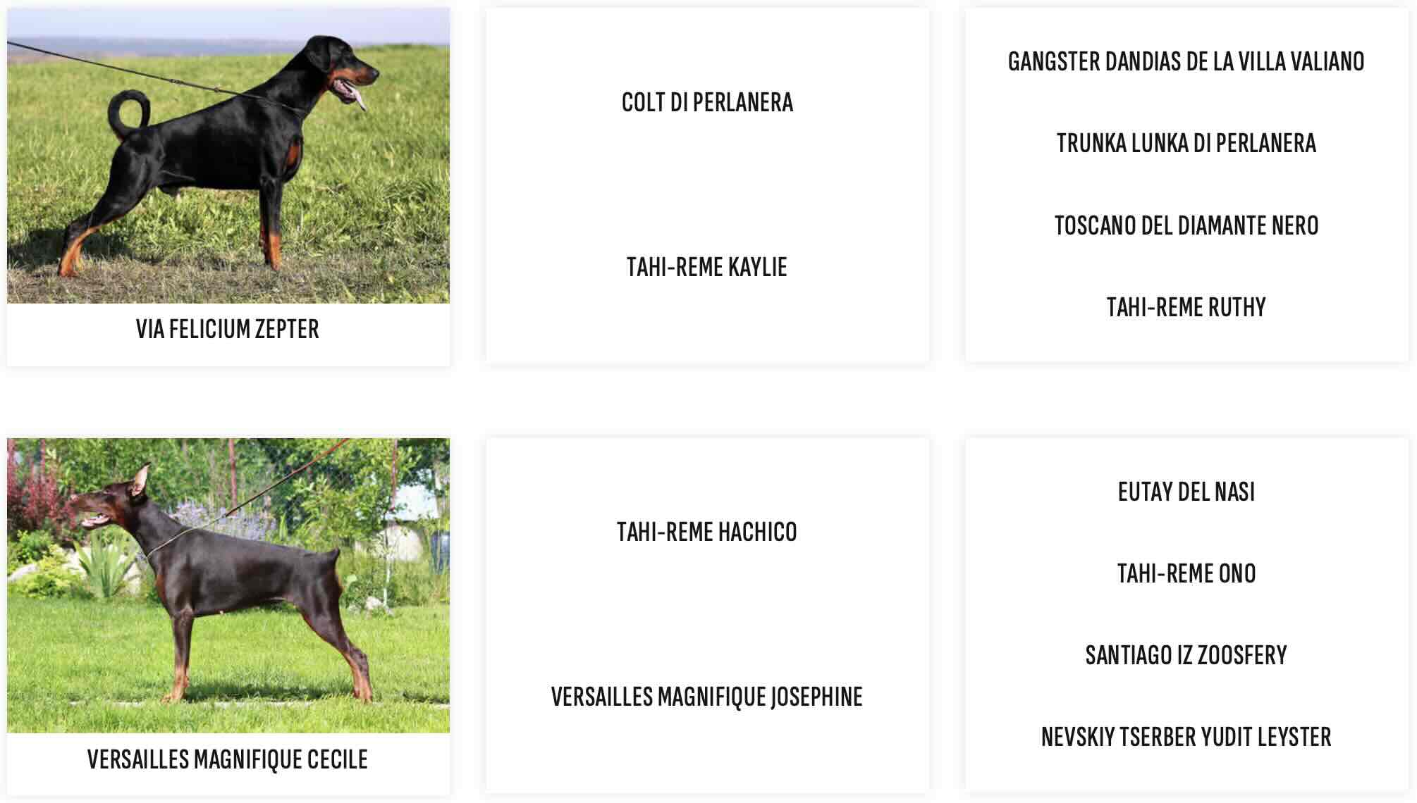 Родословная