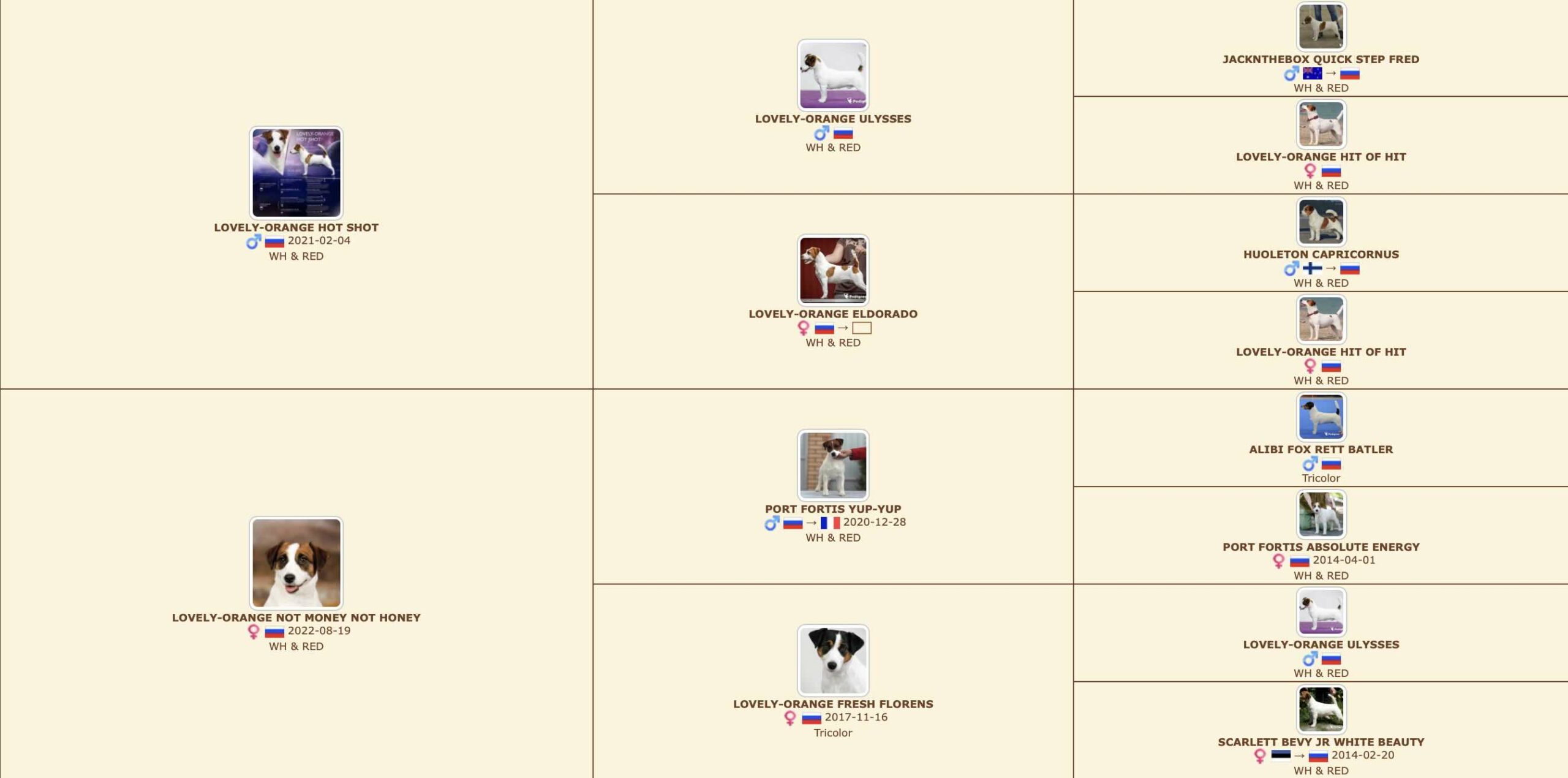 Родословная