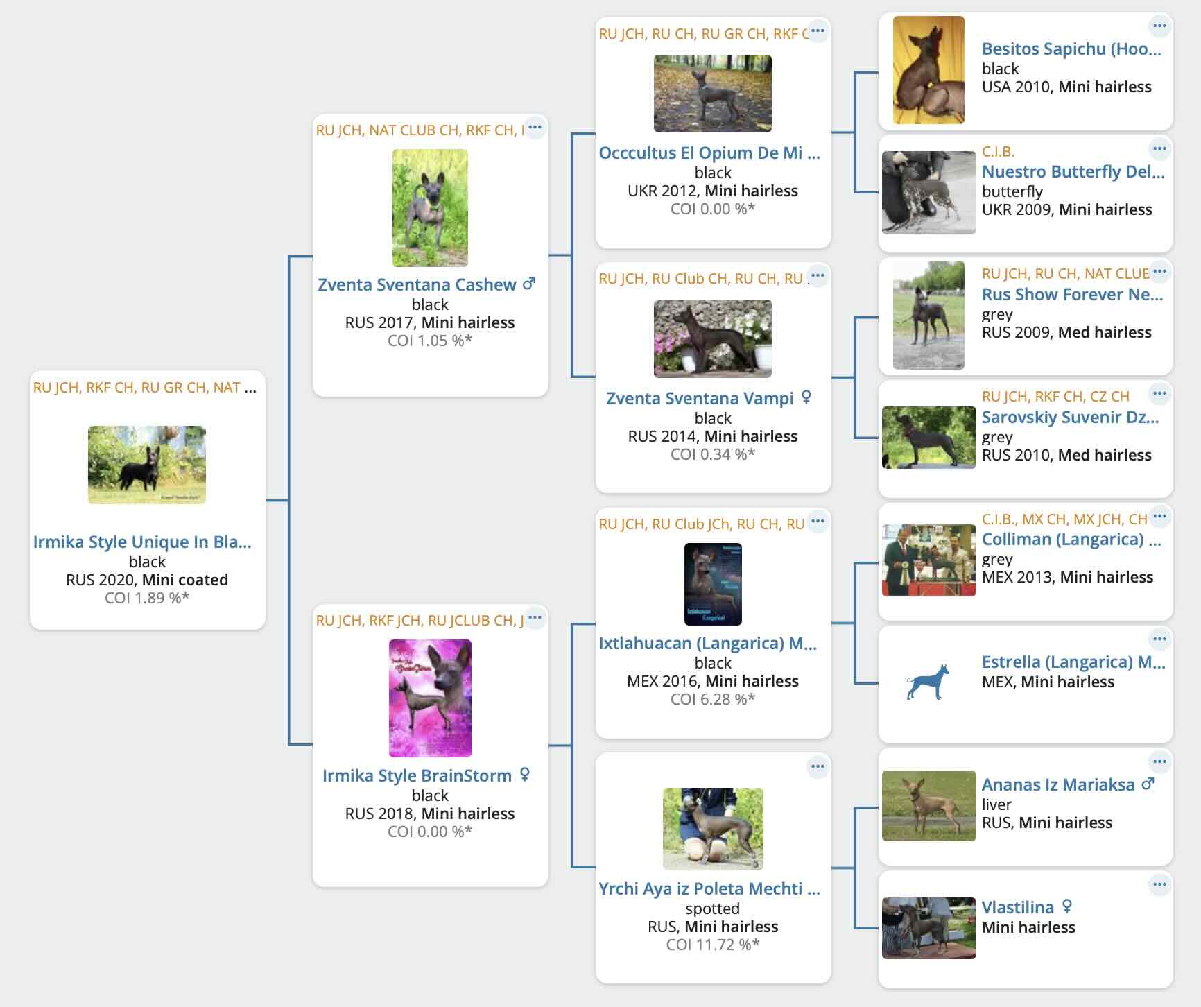 Родословная