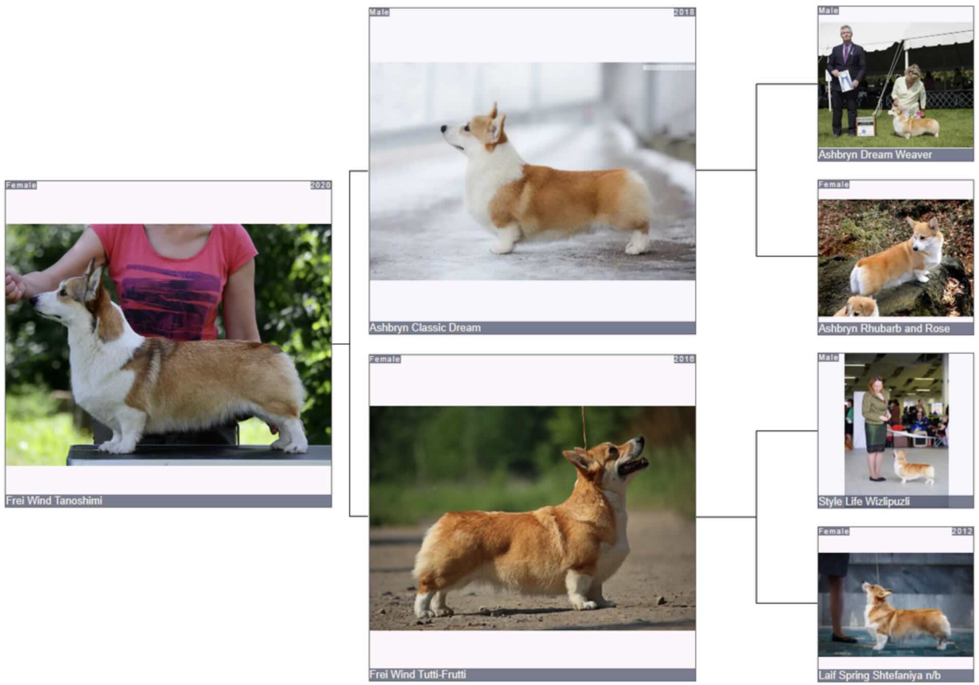 Родословная