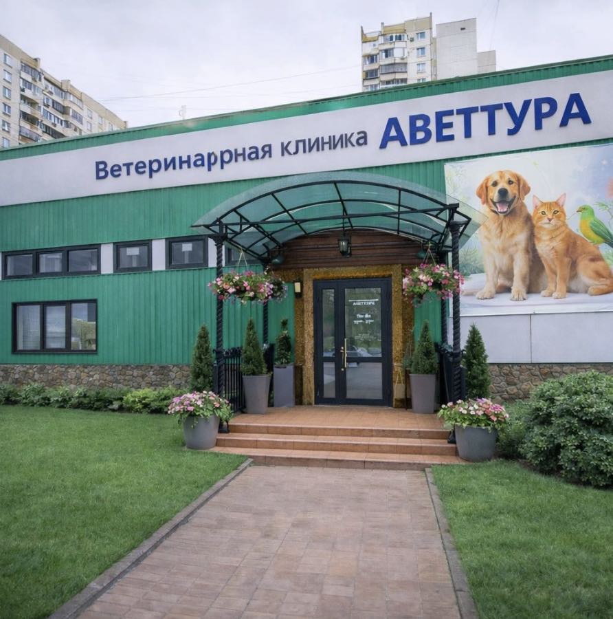 https://zoonika.com/wp-content/uploads/2026/04/vet-clinika-vettura-lnedorogo.jpg