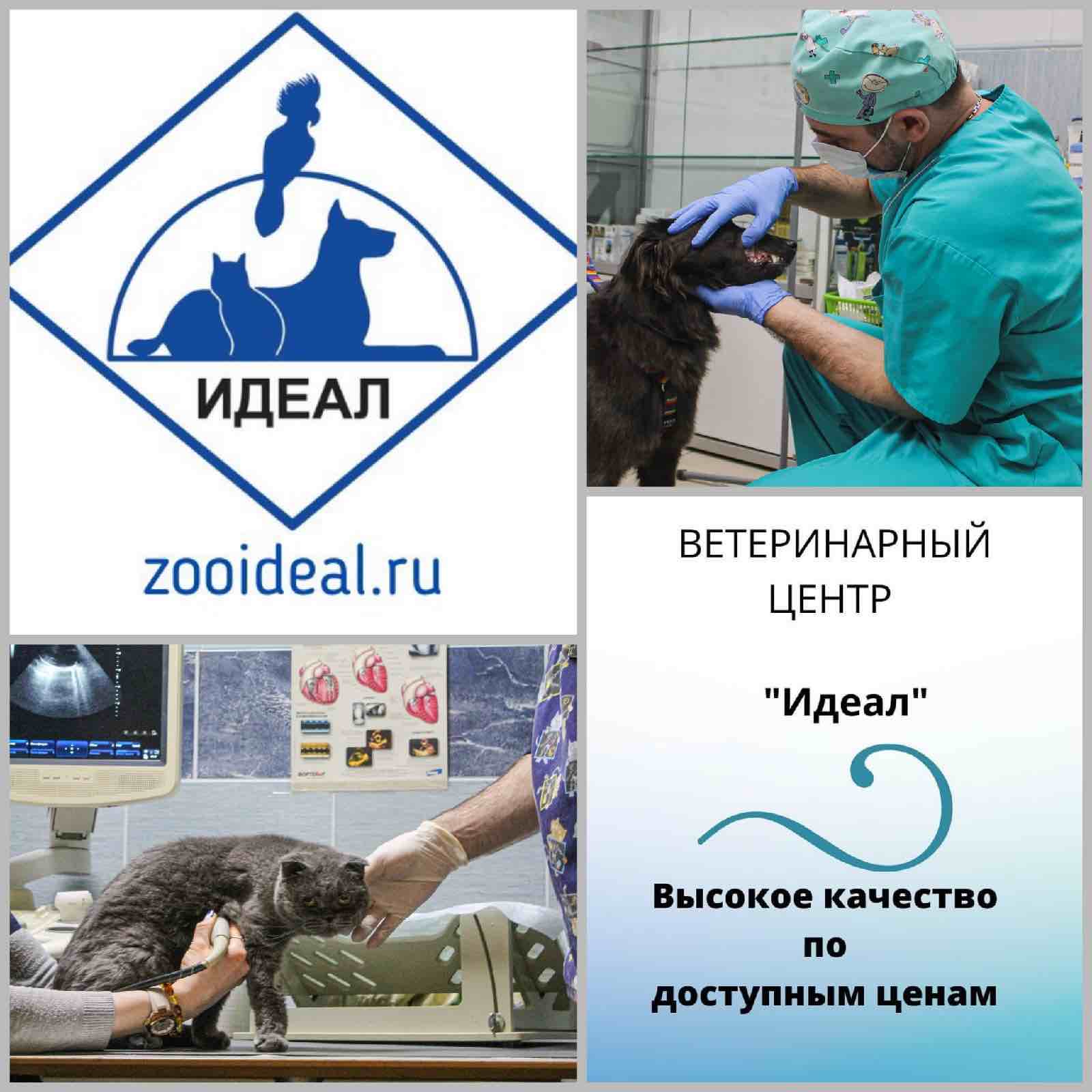 https://zoonika.com/wp-content/uploads/2026/04/vet-clinika-zooideal-rjadom.jpeg