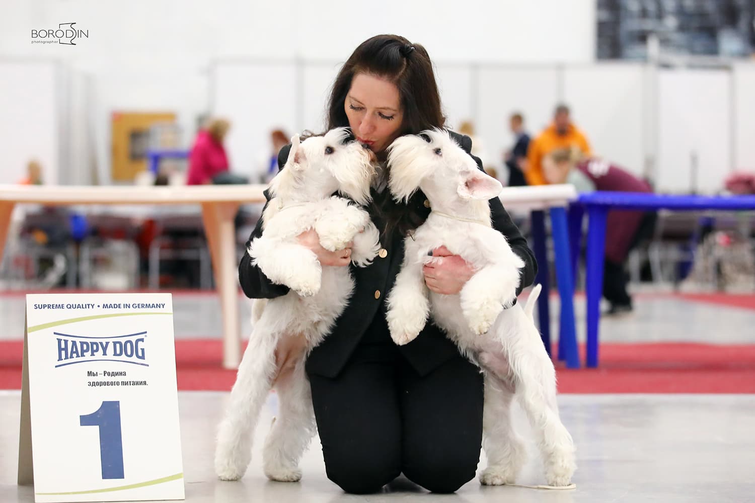 dogs-kennel-sirius-shine-tsvergshnautser-champions