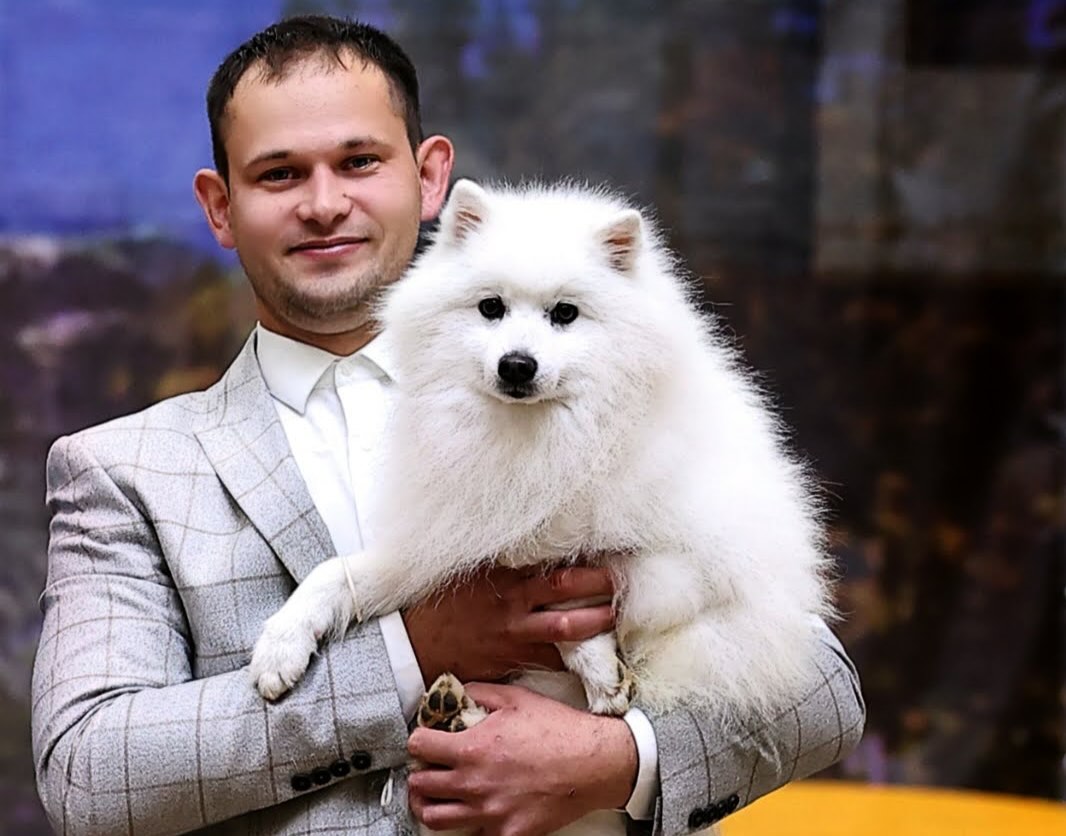 pitomnik-sobak-WhitgoldDen-spitz-kupit-shchenka