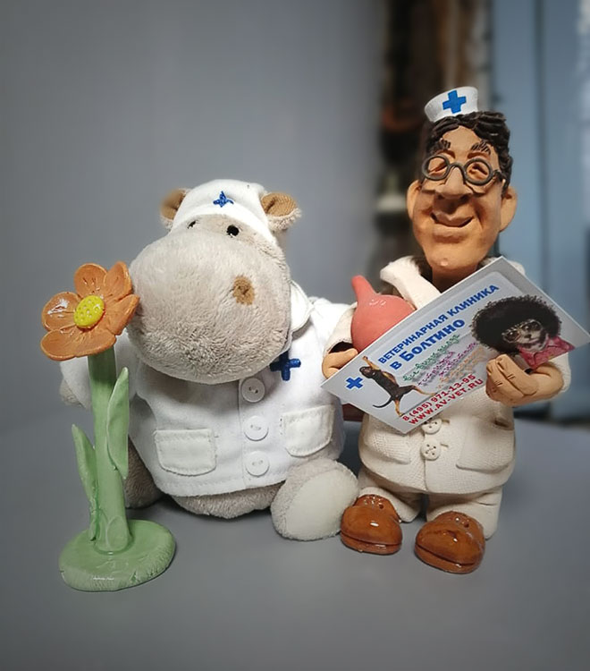https://zoonika.com/wp-content/uploads/2026/05/vet-clinika-av-vet-nedorogo.jpg