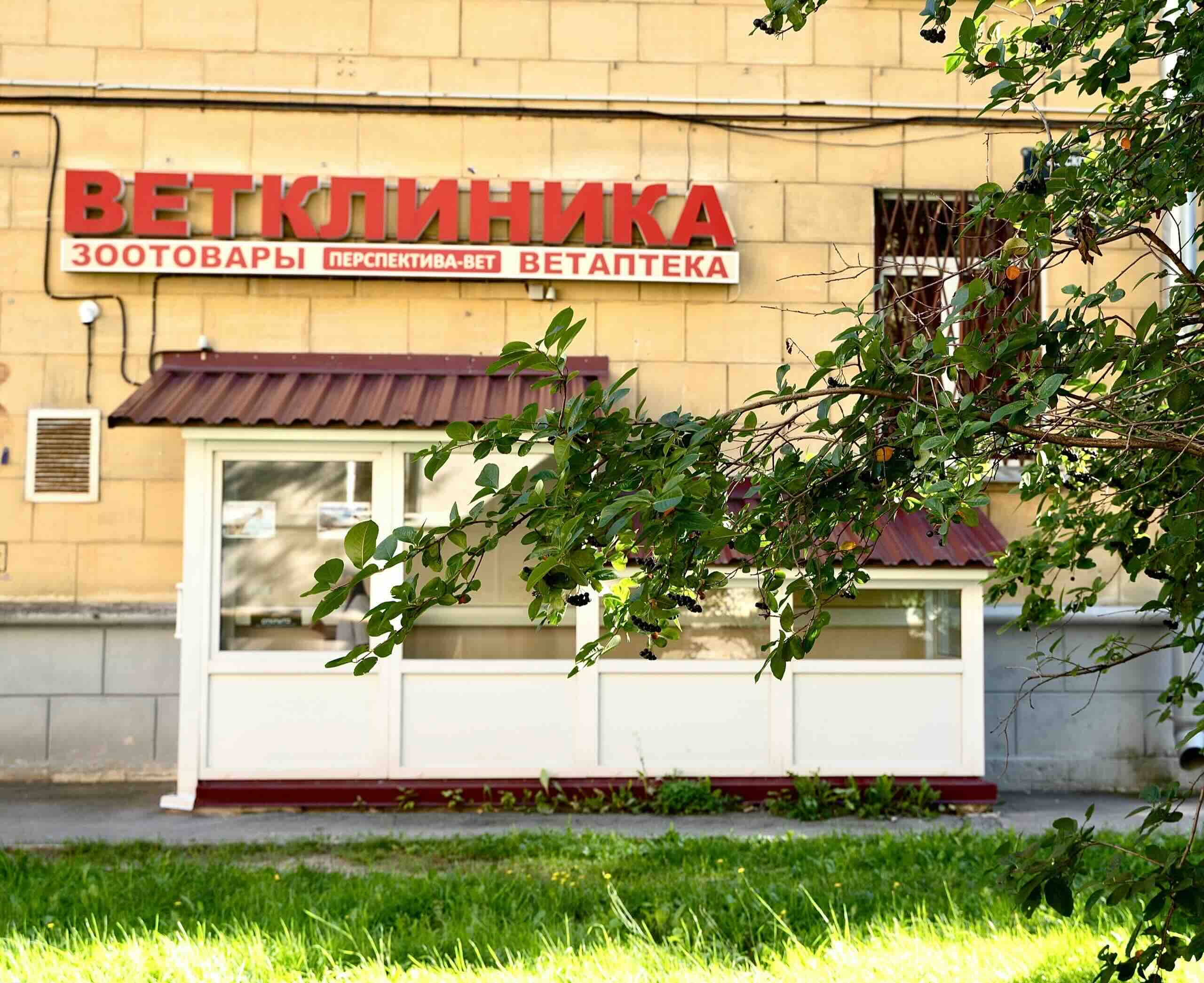 https://zoonika.com/wp-content/uploads/2026/05/vet-clinika-perspektiva-vet-nedorogo.jpg