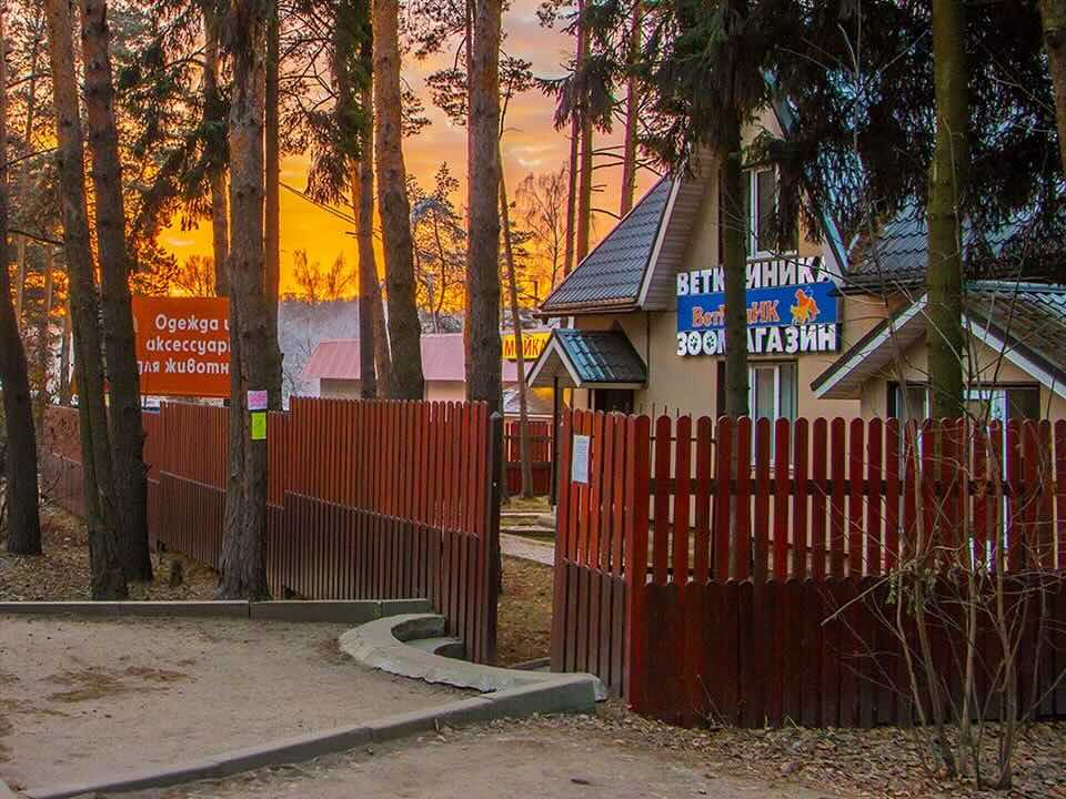 https://zoonika.com/wp-content/uploads/2026/05/vet-clinika-vet-medik-nedorogo.jpeg