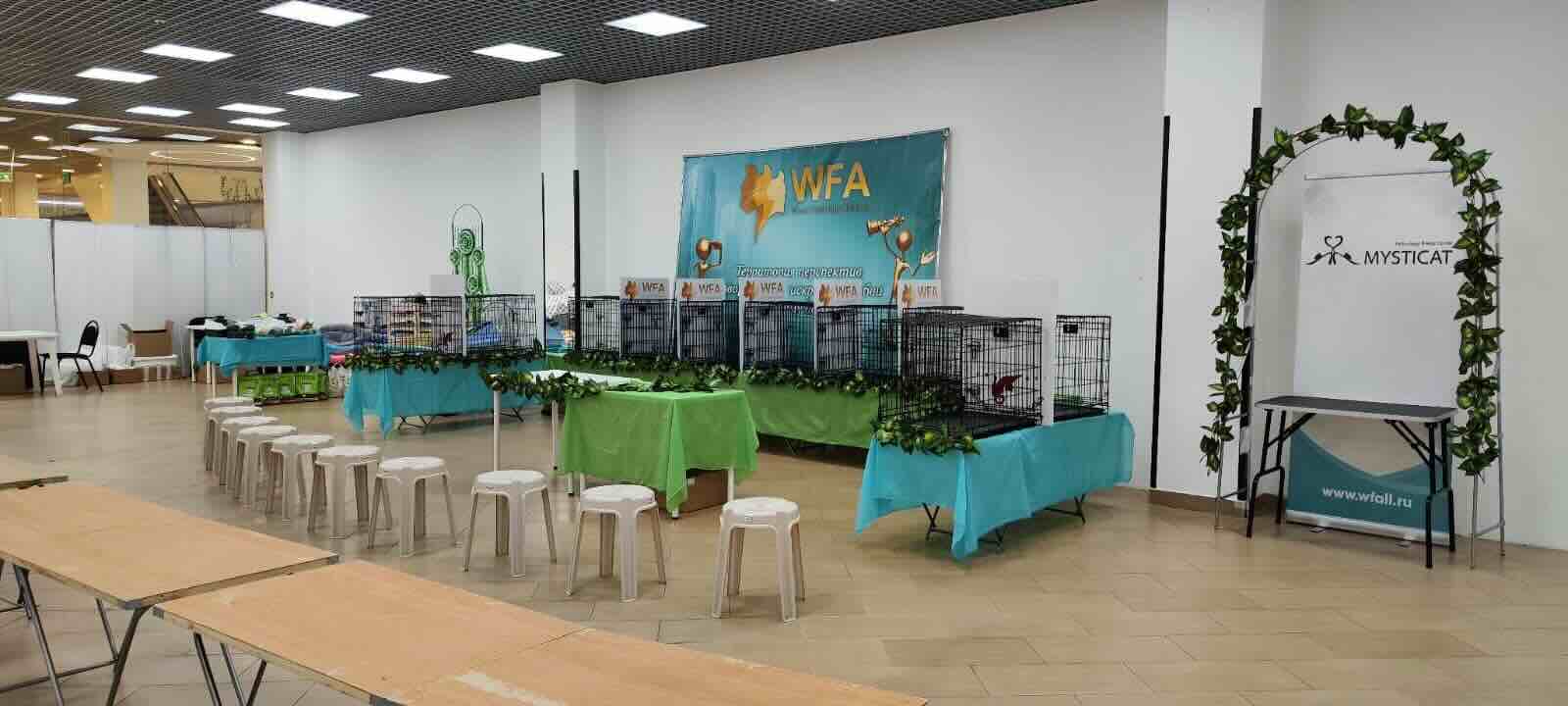 https://zoonika.com/wp-content/uploads/2026/06/felinologicheskij-klub-Mysticat.jpeg