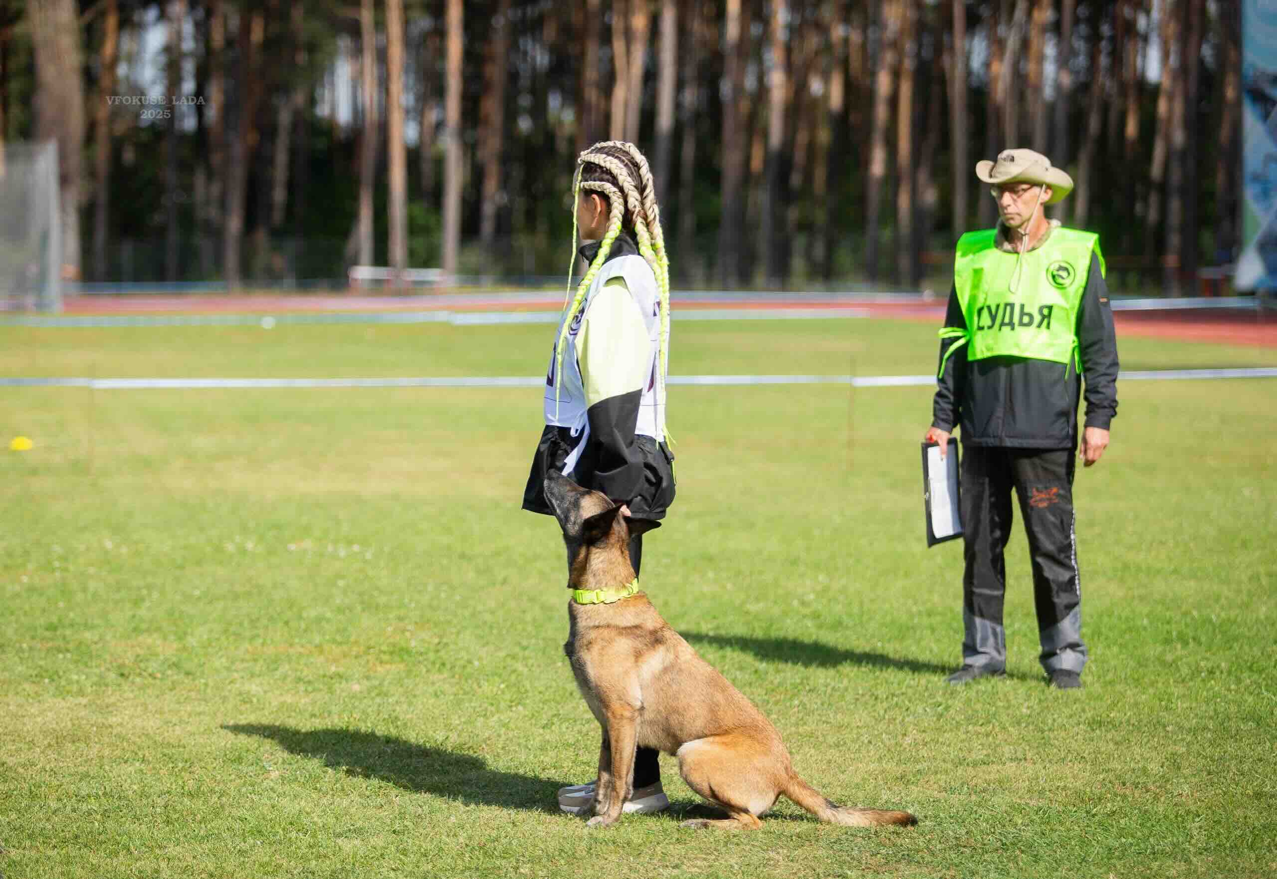 https://zoonika.com/wp-content/uploads/2026/06/kinologicheskij-klub-fun-dogs-dressirovka-personal.jpeg