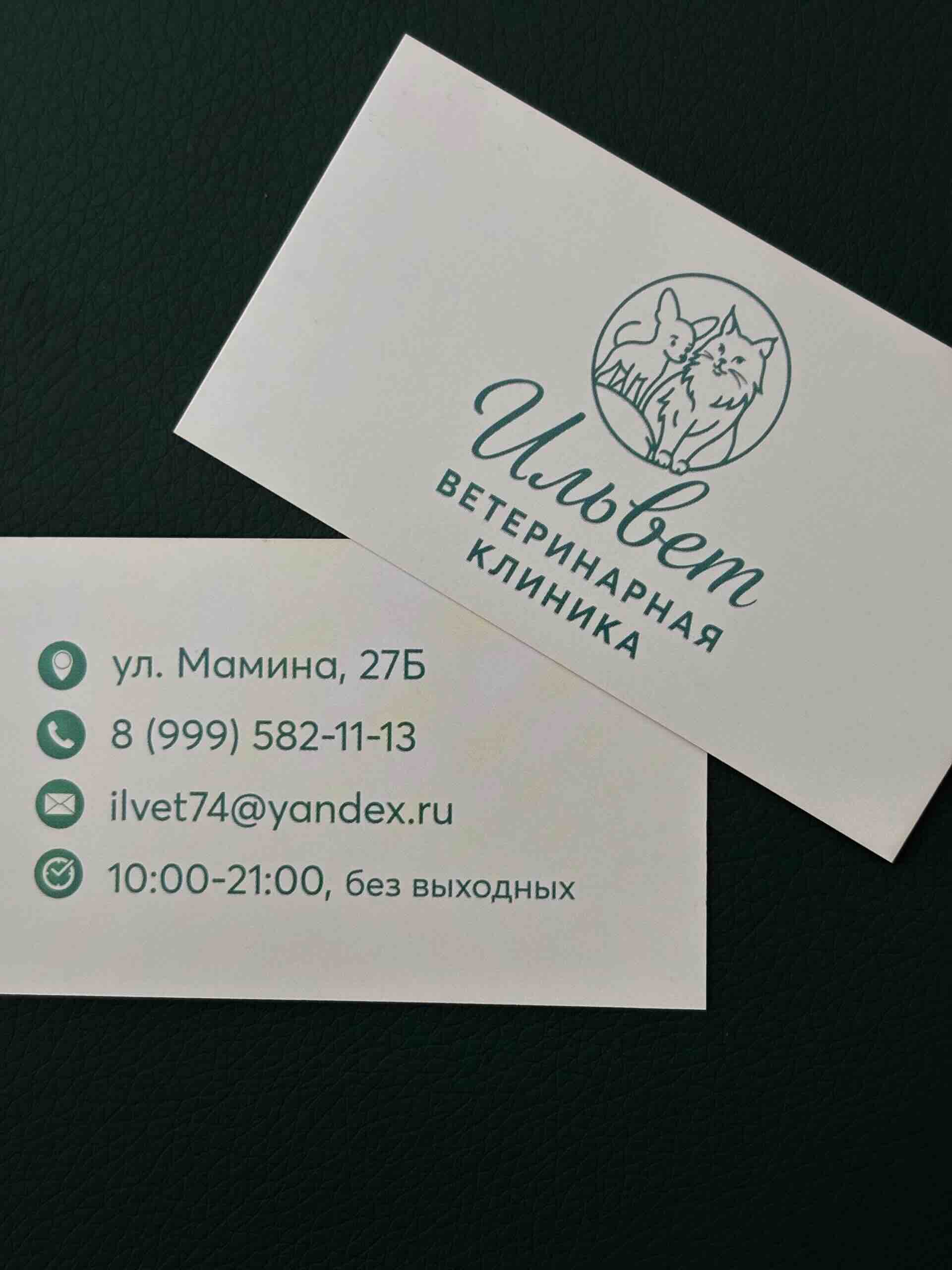 https://zoonika.com/wp-content/uploads/2026/06/vet-clinika-ilvet-nedorogo.jpeg