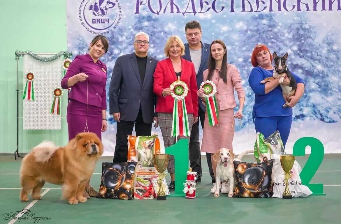https://zoonika.com/wp-content/uploads/2026/07/kinologicheskij-centr-chernozemja-rjadom.jpeg